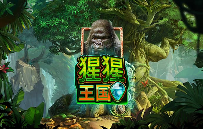 xk体育app官网